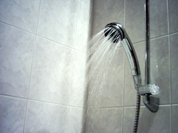 shower head 1455090