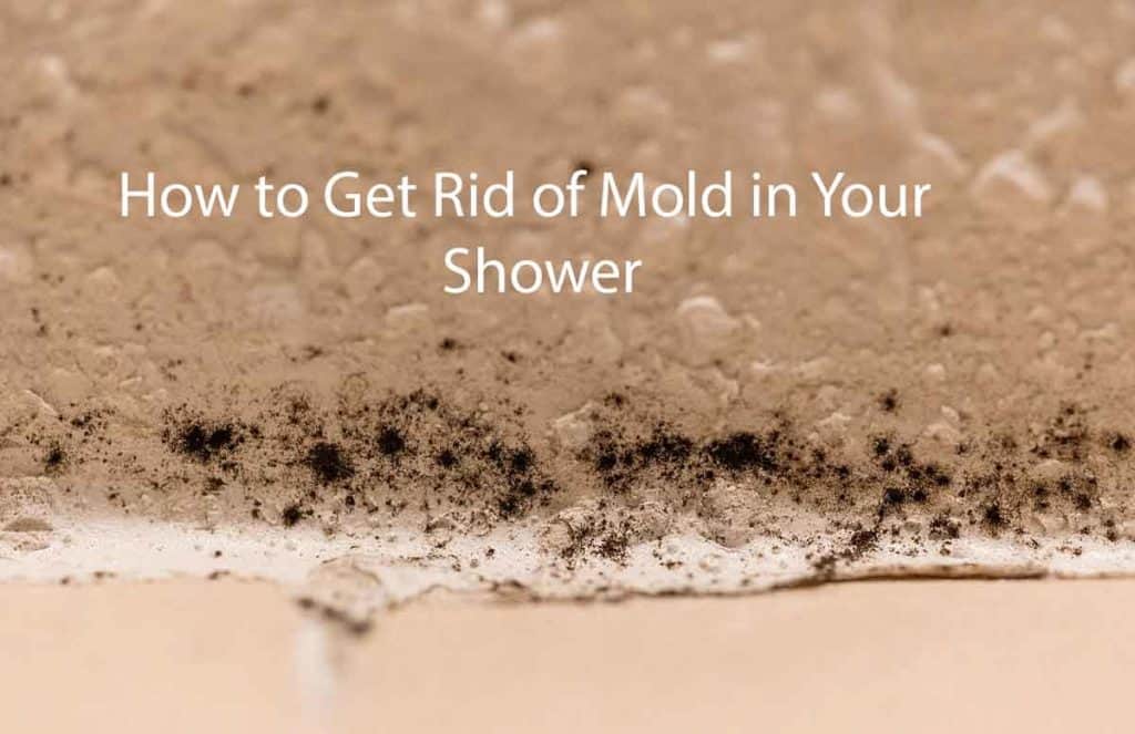 clean mold in shower