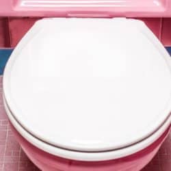 Painted toilet seat