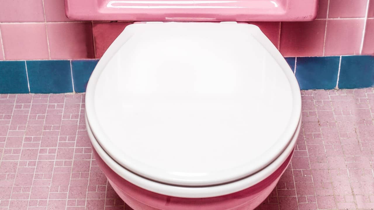 Painted toilet seat