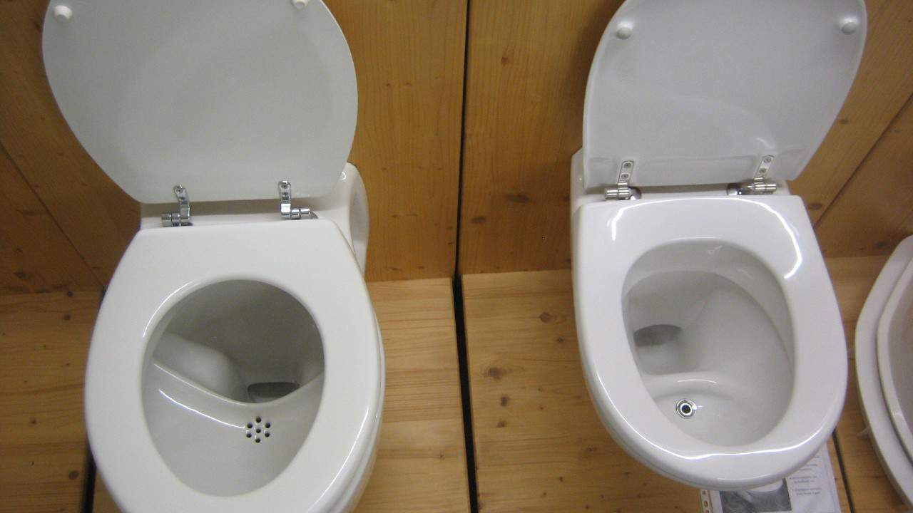 Toilets without handles