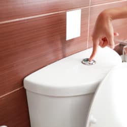 Woman flushes a toilet