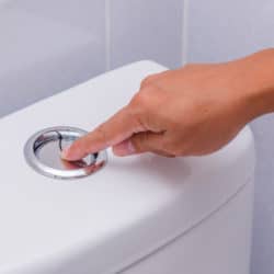 Woman flushes a toilet